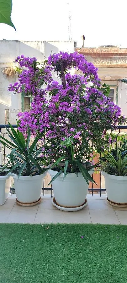 Affittacamere Hotel Giambattista House Bari